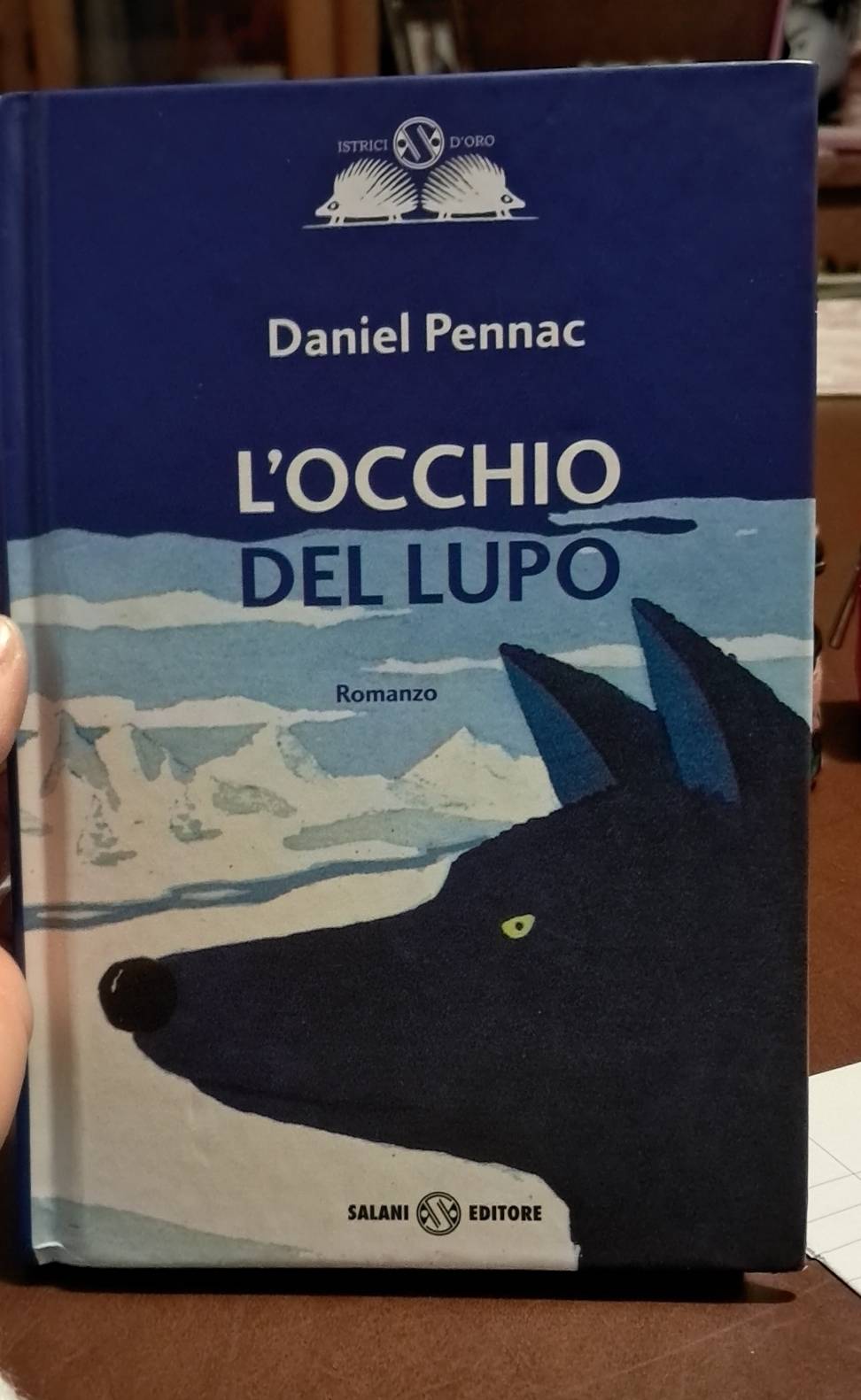 Risolto:ISTRICI doro Daniel Pennac L'OCCHIO DEL LUPO Romanzo SALANI EDITORE