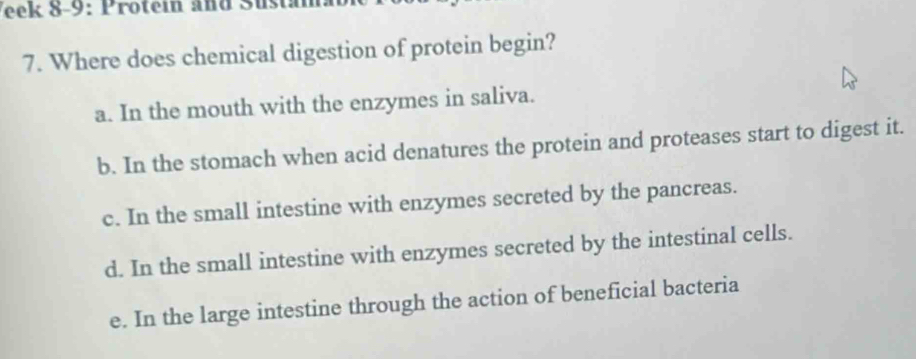 eek 8-9: Protein and Sustam
7. Where does chemical digestion of protein begin?
a. In the mouth with the enzymes in saliva.
b. In the stomach when acid denatures the protein and proteases start to digest it.
c. In the small intestine with enzymes secreted by the pancreas.
d. In the small intestine with enzymes secreted by the intestinal cells.
e. In the large intestine through the action of beneficial bacteria