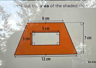 ark out the area of the shaded she .