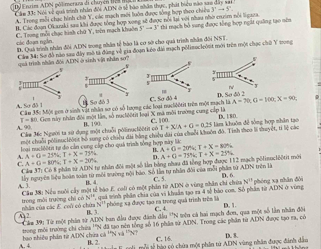 Enzim ADN pôlimeraza di chuyến trên  m a    
Câu 33: Nói về quá trình nhân đôi ADN ở tế bào nhân thực, phát biểu nào sau dây sai?
A. Trong mỗi chạc hình chữ Y, các mạch mới luôn được tổng hợp theo chiều 3^,to 5^,.
B. Các đoạn Okazaki sau khi được tổng hợp xong sẽ được nổi lại với nhau nhờ enzim nối ligaza.
C. Trong mỗi chạc hình chữ Y, trên mạch khuôn 5'to 3' thì mạch bổ sung được tổng hợp ngắt quãng tạo nên
các đoạn ngăn.
D. Quá trình nhân đôi ADN trong nhân tế bào là cơ sở cho quá trình nhân đôi NST.
Câu 34: Sơ đồ nào sau đây mô tả đúng về gia đoạn kéo dài mạch pôlinucleôtit mới trên một chạc chữ Y trong
quá trình nhân đội ADN ở sinh vật nhân sơ?
5°
5'
3'
3° K 
5
5'
| 3
3'
A. Sơ đô 1 B. Sơ đô 3 C. Sơ đô 4D. Sơ đô 2
Câu 35: Một gen ở sinh vật nhân sơ có số lượng các loại nuclêôtit trên một mạch là A=70;G=100;X=90; )
T=80. Gen nảy nhân đôi một lần, số nuclêôtit loại X mà môi trường cung cấp là
A. 90. B. 190. C. 100. D. 180.
Câu 36: Người ta sử dụng một chuỗi pôlinuclêôtit có T+X/A+G=0,25 làm khuôn đề tổng hợp nhân tạo
một chuỗi pôlinuclêôtit bố sung có chiều dài bằng chiều dài của chuỗi khuôn đó. Tính theo lí thuyết, tỉ lệ các
loại nuclêôtit tự do cần cung cấp cho quá trình tổng hợp này là:
A. A+G=25% ;T+X=75% . B. A+G=20% ;T+X=80% .
D. A+G=75% ;T+X=25% .
C. A+G=80% ;T+X=20% .
Câu 37: Có 8 phân tử ADN tự nhân đôi một số lần bằng nhau đã tổng hợp được 112 mạch pôlinuclêôtit mới
lấy nguyên liệu hoàn toàn từ môi trường nội bảo. Số lần tự nhân đôi của mỗi phân tử ADN trên là
A. 3. B. 4. C. 5. D. 6.
Câu 38: Nếu nuôi cấy một tế bảo E. coli có một phân tử ADN ở vùng nhân chi chứa N^(15) phóng xạ nhân đôi
trong môi trường chỉ có N^(14) , quá trình phân chia của vi khuẩn tạo ra 4 tế bảo con. Số phần tử ADN ở vùng
nhân của các E. coli có chứa N^(15) phóng xạ được tạo ra trong quả trình trên là
D. 1.
A 2. B. 3. C. 4.
Câu 39: Từ một phân tử ADN ban đầu được đánh đầu^(15)N trên cả hai mạch đơn, qua một số lần nhân đôi
trong môi trường chỉ chứa^(14)N đã tạo nên tổng số 16 phân từ ADN. Trong các phân tử ADN được tạo ra, có
bao nhiêu phân tử ADN chứa cả ^14N a^(15)N
A. 4. B. 2. C. 16. D. 8.
E coli, mỗi tế bào có chứa một phân tử ADN vùng nhân được đánh dầu
à không
