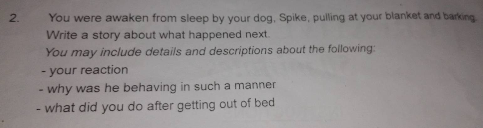 You were awaken from sleep by your dog, Spike, pulling at your blanket and barking. 
Write a story about what happened next. 
You may include details and descriptions about the following: 
- your reaction 
- why was he behaving in such a manner 
- what did you do after getting out of bed