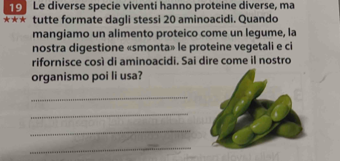 Le diverse specie viventi hanno proteine diverse, ma 
*** tutte formate dagli stessi 20 aminoacidi. Quando 
mangiamo un alimento proteico come un legume, la 
nostra digestione «smonta» le proteine vegetali e ci 
rifornisce così di aminoacidi. Sai dire come il nostro 
organismo poi li usa? 
_ 
_ 
_ 
_