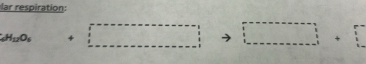 lar respiration:
CH_2O_6+□ □ +