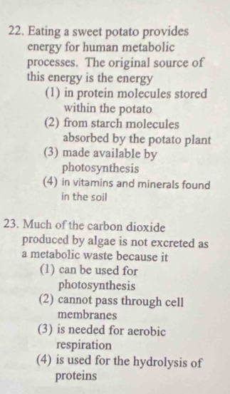 Eating a sweet potato provides
energy for human metabolic
processes. The original source of
this energy is the energy
(1) in protein molecules stored
within the potato
(2) from starch molecules
absorbed by the potato plant
(3) made available by
photosynthesis
(4) in vitamins and minerals found
in the soil
23. Much of the carbon dioxide
produced by algae is not excreted as
a metabolic waste because it
(1) can be used for
photosynthesis
(2) cannot pass through cell
membranes
(3) is needed for aerobic
respiration
(4) is used for the hydrolysis of
proteins