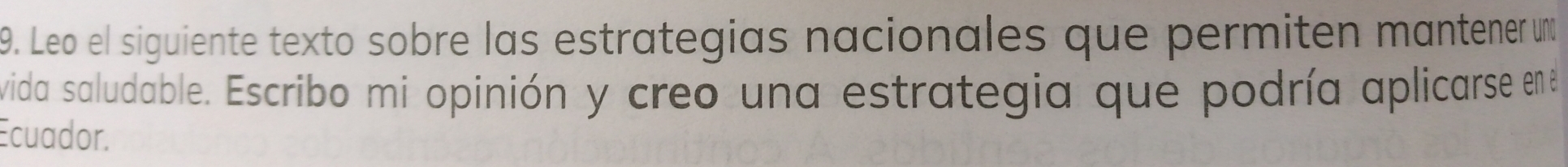 Leo el siguiente texto sobre las estrategias nacionales que permiten mantener un 
vida saludable. Escribo mi opinión y creo una estrategia que podría aplicarse en e 
Ecuador.