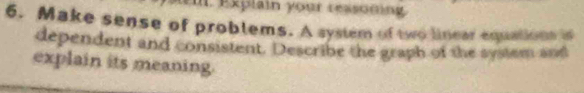 Em Explain your reasonin 
6. Make sense of problems. A system of two linear equations is 
dependent and consistent. Describe the graph of the system and 
explain its meaning.