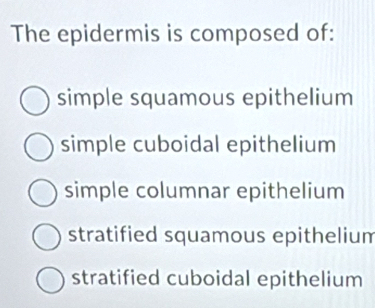 The epidermis is composed of:
simple squamous epithelium
simple cuboidal epithelium
simple columnar epithelium
stratified squamous epithelium
stratified cuboidal epithelium