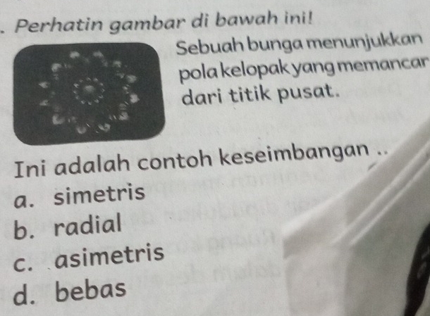 Perhatin gambar di bawah ini!
Sebuah bunga menunjukkan
pola kelopak yang memancar 
dari titik pusat.
Ini adalah contoh keseimbangan ..
a. simetris
b. radial
c. asimetris
d. bebas