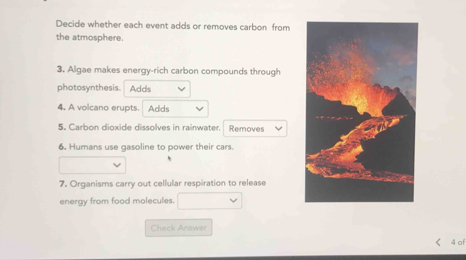 Decide whether each event adds or removes carbon from 
the atmosphere. 
3. Algae makes energy-rich carbon compounds through 
photosynthesis. Adds 
4. A volcano erupts. Adds 
5. Carbon dioxide dissolves in rainwater. Removes 
6. Humans use gasoline to power their cars. 
7. Organisms carry out cellular respiration to release 
energy from food molecules. 
Check Answer 
4 of