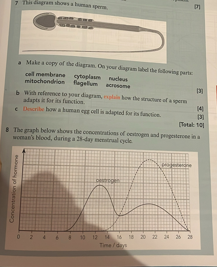 Risolto:This diagram shows a human sperm. he diagram. On your diagram ...