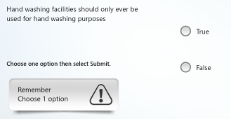 Hand washing facilities should only ever be
used for hand washing purposes
True
Choose one option then select Submit. False
Remember 1
Chaose 1 option