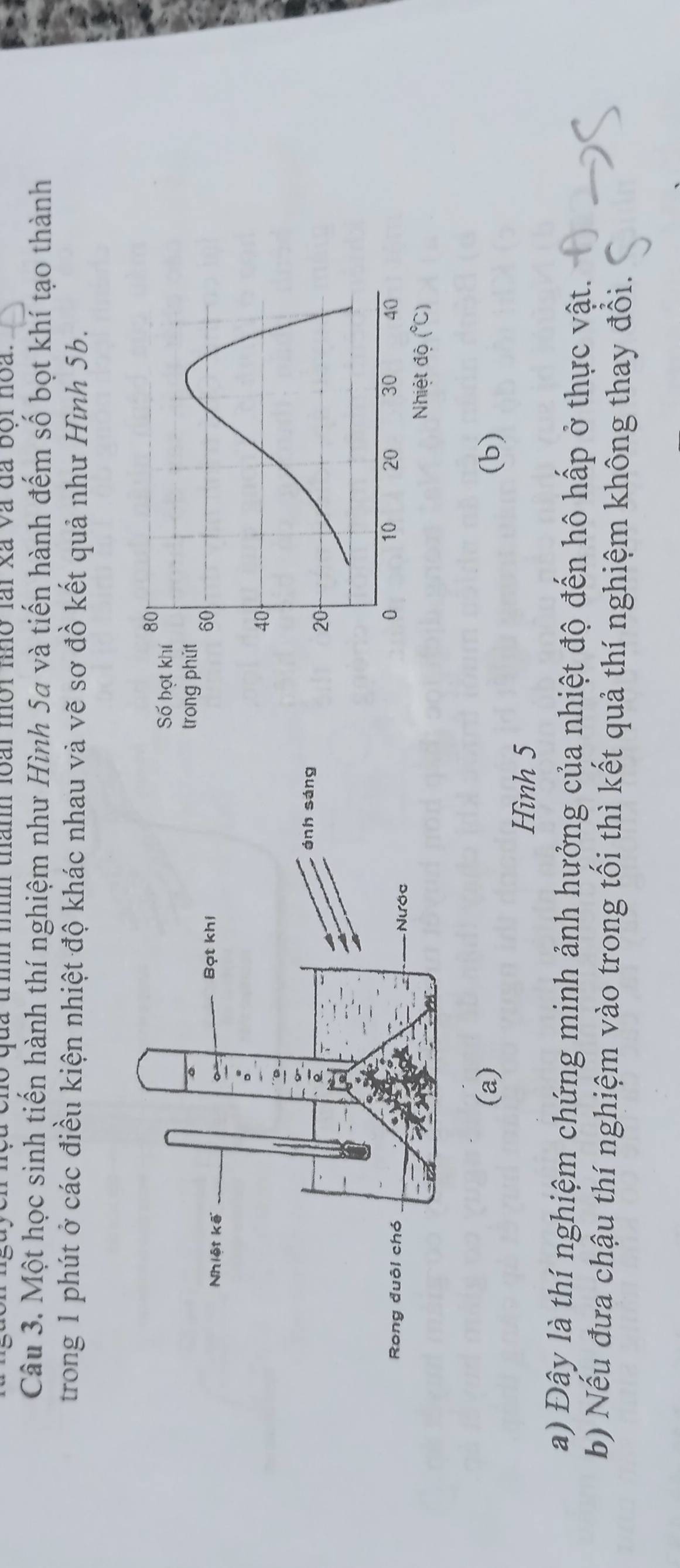 qua tình nh thamh loài nôi nho lài xã và đã boi noa. 
Câu 3. Một học sinh tiến hành thí nghiệm như Hình 5a và tiến hành đếm số bọt khí tạo thành 
trong 1 phút ở các điều kiện nhiệt độ khác nhau và vẽ sơ đồ kết quả như Hình 5b. 
(a) (b) 
Hình 5 
a) Đậy là thí nghiệm chứng minh ảnh hưởng của nhiệt độ đến hô hấp ở thực vật. 
b) Nếu đưa chậu thí nghiệm vào trong tối thì kết quả thí nghiệm không thay đổi.