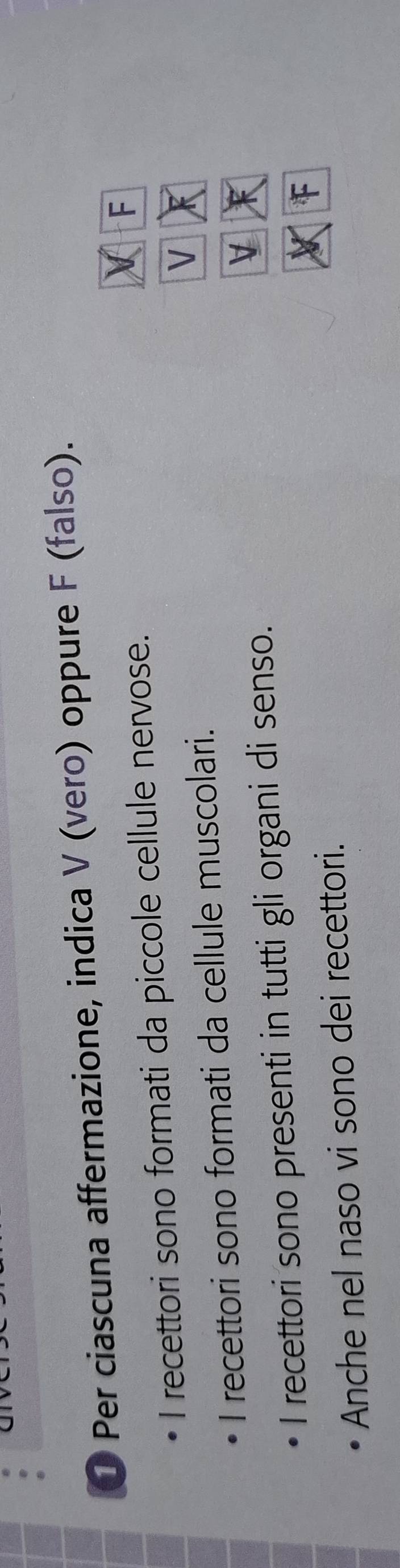 ① Per ciascuna affermazione, indica V (vero) oppure F (falso). 
I recettori sono formati da piccole cellule nervose. 

I recettori sono formati da cellule muscolari. 
V 
I recettori sono presenti in tutti gli organi di senso. 
Anche nel naso vi sono dei recettori.