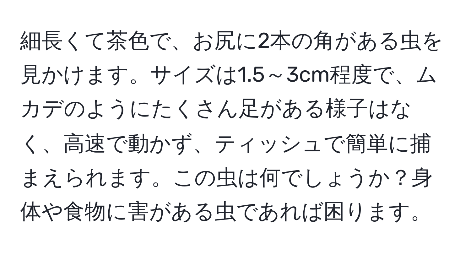 細長くて茶色で、お尻に2本の角がある虫を見かけます。サイズは1.5～3cm程度で、ムカデのようにたくさん足がある様子はなく、高速で動かず、ティッシュで簡単に捕まえられます。この虫は何でしょうか？身体や食物に害がある虫であれば困ります。