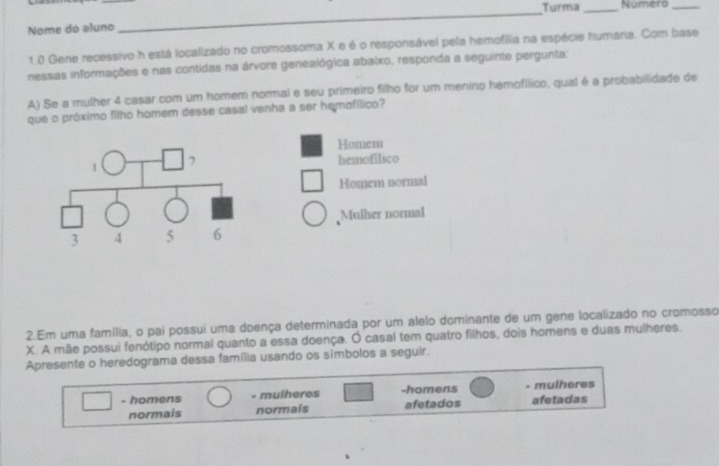 Solved: Turma _Numero_ Nome dó aluno _ 1.0 Gene recessivo h está ...