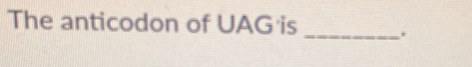 The anticodon of UAG is _.