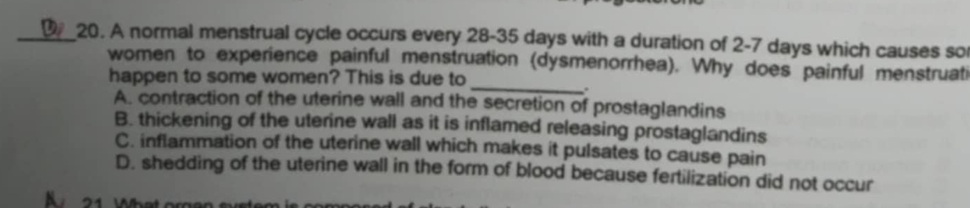 A normal menstrual cycle occurs every 28-35 days with a duration of 2-7 days which causes sor
_
women to experience painful menstruation (dysmenorrhea). Why does painful menstruati
happen to some women? This is due to
.
A. contraction of the uterine wall and the secretion of prostaglandins
B. thickening of the uterine wall as it is inflamed releasing prostaglandins
C. inflammation of the uterine wall which makes it pulsates to cause pain
D. shedding of the uterine wall in the form of blood because fertilization did not occur