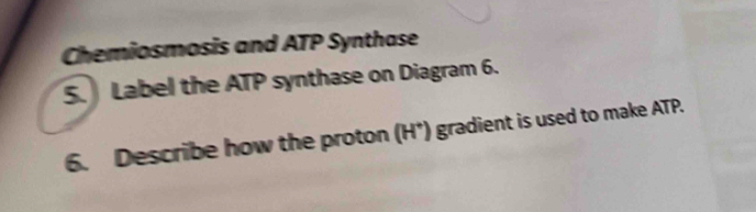 Chemiosmosis and ATP Synthase 
5. Label the ATP synthase on Diagram 6. 
6. Describe how the proton (H*) gradient is used to make ATP.