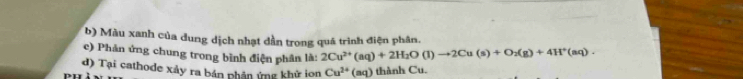 Màu xanh của dung dịch nhạt dần trong quá trình điện phân. 
c) Phản ứng chung trong bình điện phân là: 2Cu^(2+)(aq)+2H_2O(l)to 2Cu(s)+O_2(g)+4H^+(aq). 
đ) Tại cathode xảy ra bán phân ứng khử ion Cu^(2+)(aq) thành Cu.