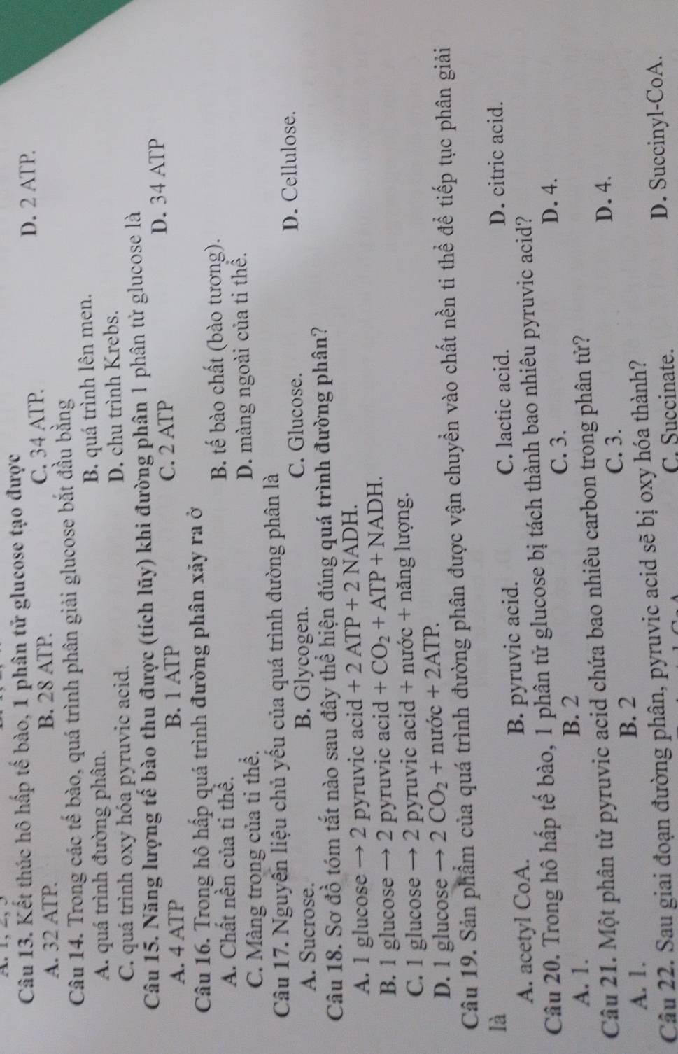 Kết thúc hô hấp tế bào, 1 phân tử glucose tạo được
A. 32 ATP. B. 28 ATP. C. 34 ATP.
D. 2 ATP
Câu 14. Trong các tế bào, quá trình phân giải glucose bắt đầu bằng
A. quá trình đường phân. B. quá trình lên men.
C. quá trình oxy hóa pyruvic acid. D. chu trình Krebs.
Câu 15. Năng lượng tế bào thu được (tích lũy) khi đường phân 1 phân tử glucose là
A. 4 ATP B. 1 ATP C. 2 ATP D. 34 ATP
Câu 16. Trong hô hấp quá trình đường phân xảy ra ở
A. Chất nền của ti thể. B. tế bào chất (bào tương).
C. Màng trong của tỉ thể. D. màng ngoài của ti thể.
Câu 17. Nguyên liệu chủ yếu của quá trình đường phân là
A. Sucrose. B. Glycogen. C. Glucose. D. Cellulose.
Câu 18. Sơ đồ tóm tắt nào sau đây thể hiện đúng quá trình đường phân?
A. 1 glucose → 2 pyruvic acid +2ATP+2NADH.
B. 1 glucose → 2 pyruvic acid +CO_2+ATP+NADH.
C. 1 glucose → 2 pyruvic acid + nước + năng lượng.
D. 1 glucose → 2CO_2+nurdc+2ATP.
Câu 19. Sản phẩm của quá trình đường phân được vận chuyển vào chất nền ti thể để tiếp tục phân giải
là D. citric acid.
A. acetyl CoA. B. pyruvic acid. C. lactic acid.
Câu 20. Trong hô hấp tế bào, 1 phân tử glucose bị tách thành bao nhiêu pyruvic acid?
C. 3. D. 4.
A. 1. B. 2
Câu 21. Một phân tử pyruvic acid chứa bao nhiêu carbon trong phân tử?
C. 3.
D. 4.
A. 1. B. 2
Câu 22. Sau giai đoạn đường phân, pyruvic acid sẽ bị oxy hóa thành?
C. Succinate. D. Succinyl-CoA.