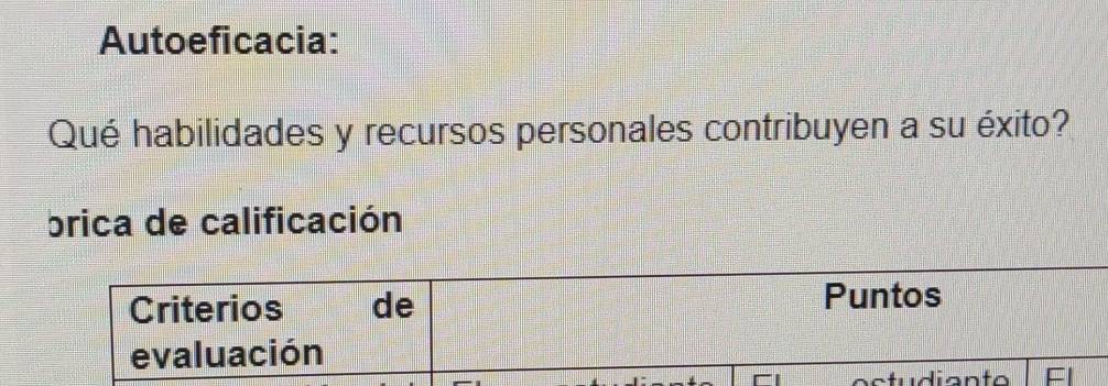 Autoeficacia: 
Qué habilidades y recursos personales contribuyen a su éxito? 
brica de calificación