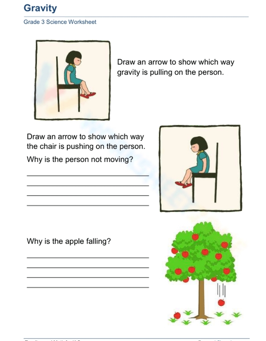 Gravity 
Grade 3 Science Worksheet 
Draw an arrow to show which way 
gravity is pulling on the person. 
Draw an arrow to show which way 
the chair is pushing on the person. 
Why is the person not moving? 
_ 
_ 
_ 
_ 
Why is the apple falling? 
_ 
_ 
_ 
_ 
_