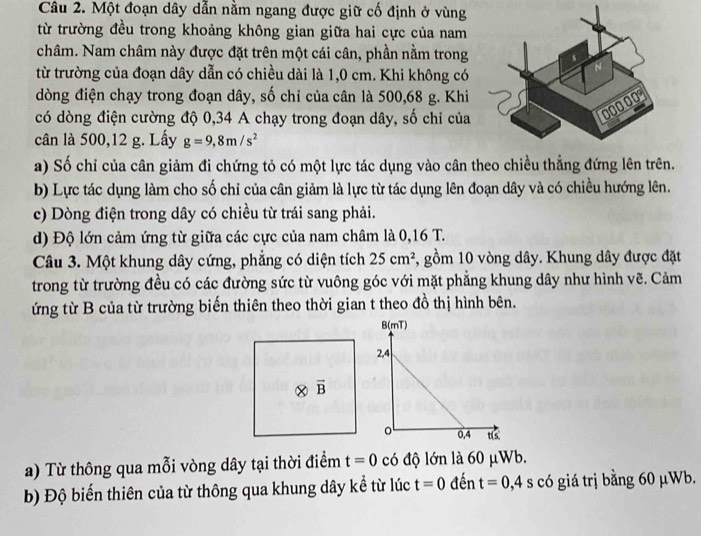 Một đoạn dây dẫn nằm ngang được giữ cố định ở vùng
từ trường đều trong khoảng không gian giữa hai cực của nam
châm. Nam châm này được đặt trên một cái cân, phần nằm trong
từ trường của đoạn dây dẫn có chiều dài là 1,0 cm. Khi không có
dòng điện chạy trong đoạn dây, số chỉ của cân là 500,68 g. Khi 
có dòng điện cường độ 0,34 A chạy trong đoạn dây, số chỉ của
cân là 500,12 g. Lấy g=9,8m/s^2
a) Số chỉ của cân giảm đi chứng tỏ có một lực tác dụng vào cân theo chiều thẳng đứng lên trên.
b) Lực tác dụng làm cho số chỉ của cân giảm là lực từ tác dụng lên đoạn dây và có chiều hướng lên.
c) Dòng điện trong dây có chiều từ trái sang phải.
d) Độ lớn cảm ứng từ giữa các cực của nam châm là 0,16 T.
Câu 3. Một khung dây cứng, phẳng có diện tích 25cm^2 , gồm 10 vòng dây. Khung dây được đặt
trong từ trường đều có các đường sức từ vuông góc với mặt phẳng khung dây như hình vẽ. Cảm
ứng từ B của từ trường biến thiên theo thời gian t theo đồ thị hình bên.
a) Từ thông qua mỗi vòng dây tại thời điểm t=0 có độ lớn là 60 μWb.
b) Độ biến thiên của từ thông qua khung dây kể từ lúc t=0 đến t=0,4s có giá trị bằng 60 μWb.