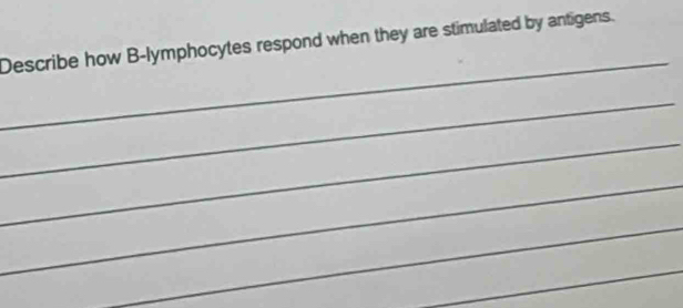 Describe how B-lymphocytes respond when they are stimulated by antigens. 
_ 
_ 
_ 
_ 
_ 
_