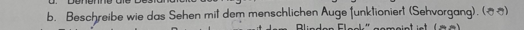 Beschreibe wie das Sehen mit dem menschlichen Auge funktioniert (Sehvorgang). (_~) 
Me