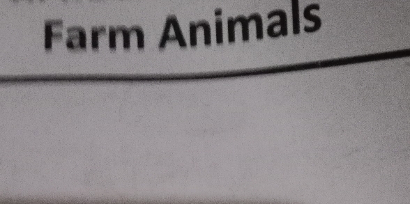 Farm Animals