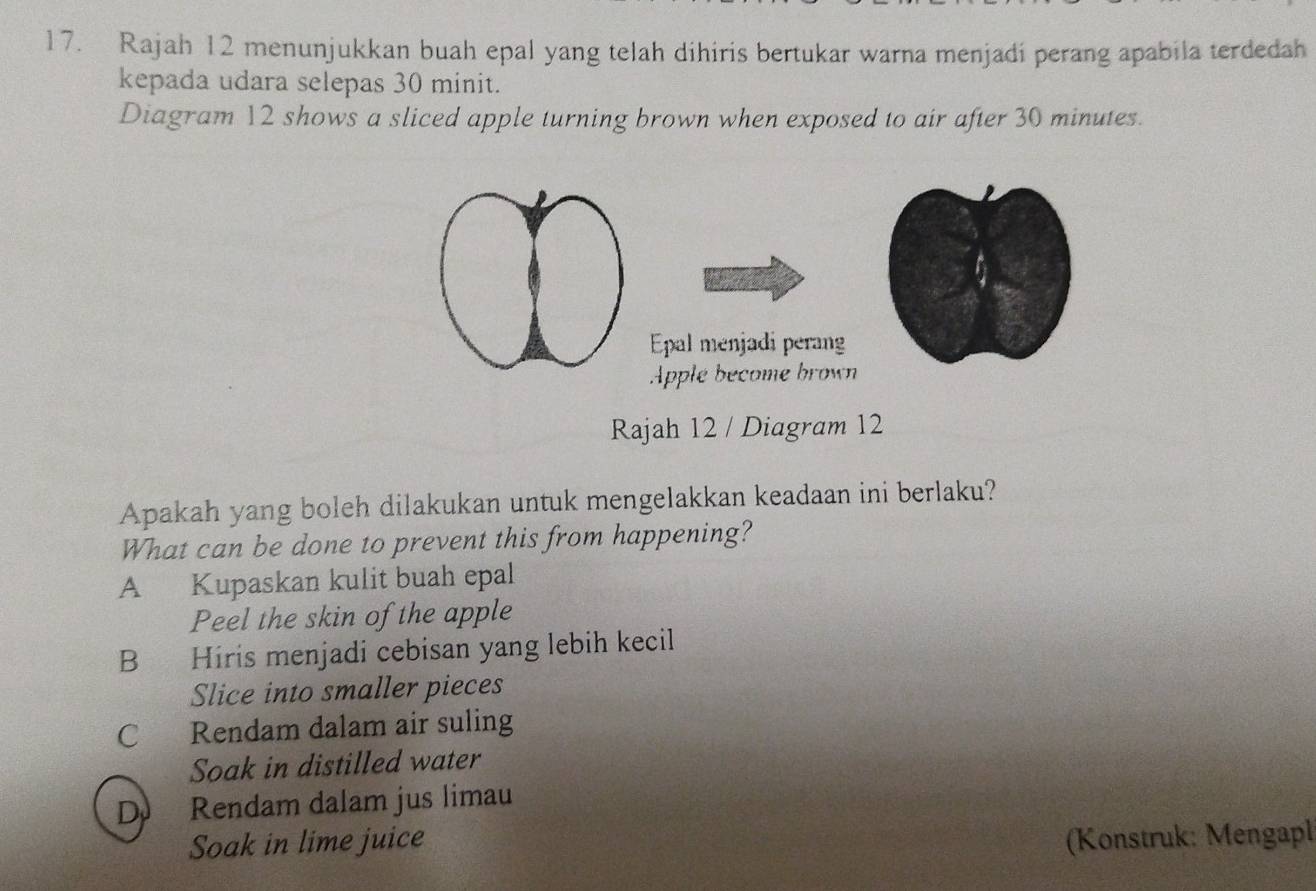 Rajah 12 menunjukkan buah epal yang telah dihiris bertukar warna menjadi perang apabila terdedah
kepada udara selepas 30 minit.
Diagram 12 shows a sliced apple turning brown when exposed to air after 30 minutes.
Epal menjadi perang
Apple become brown
Rajah 12 / Diagram 12
Apakah yang boleh dilakukan untuk mengelakkan keadaan ini berlaku?
What can be done to prevent this from happening?
A Kupaskan kulit buah epal
Peel the skin of the apple
B Hiris menjadi cebisan yang lebih kecil
Slice into smaller pieces
C Rendam dalam air suling
Soak in distilled water
D Rendam dalam jus limau
Soak in lime juice (Konstruk: Mengapl