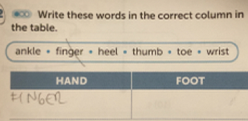 a Write these words in the correct column in 
the table. 
ankle = finger = heel = thumb = toe = wrist