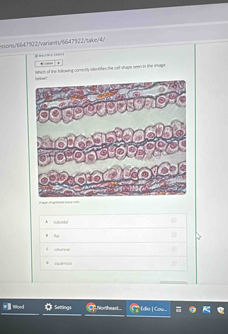 essons/6647922/variants/6647922/take/4/
MULTIPLE CHOICE
4) Listen
Which of the following correctly identifies the cell shape seen in the image
A layer of epithelial tissue cells.
A cuboidal
B flat
c columnar
D squamous
Word Settings Northeast... Edio | (