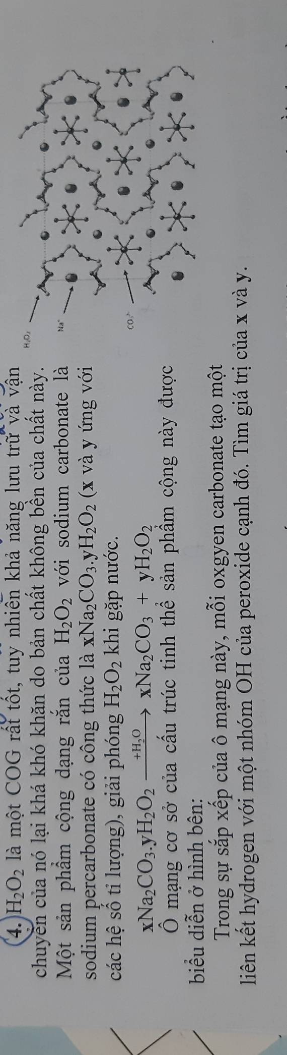 H_2O_2 là một COG rất tốt, tuy nhiên khả năng lưu trữ và vận 
chuyền của nó lại khá khó khăn do bản chất không bền của chất này. 
Một sản phẩm cộng dạng rắn của H_2O_2 với sodium carbonate là Na° 
sodium percarbonate có công thức là xNa_2CO_3 H_2O_2 (x và y ứng với 
các hệ số tỉ lượng), giải phóng H_2O_2 khi gặp nước.
xNa_2CO_3.yH_2O_2xrightarrow +H_2OxNa_2CO_3+yH_2O_2
co 
Ô mạng cơ sở của cấu trúc tinh thể sản phẩm cộng này được 
biểu diễn ở hình bên: 
Trong sự sắp xếp của ô mạng này, mỗi oxgyen carbonate tạo một 
liên kết hydrogen với một nhóm OH của peroxide cạnh đó. Tìm giá trị của x và y.