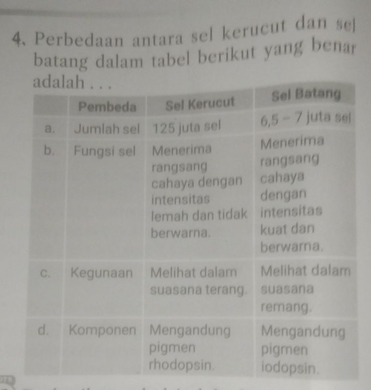 Perbedaan antara sel kerucut dan  sl
batang dalam tabel berikut yang benar