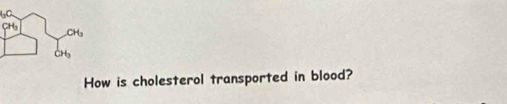 How is cholesterol transported in blood?