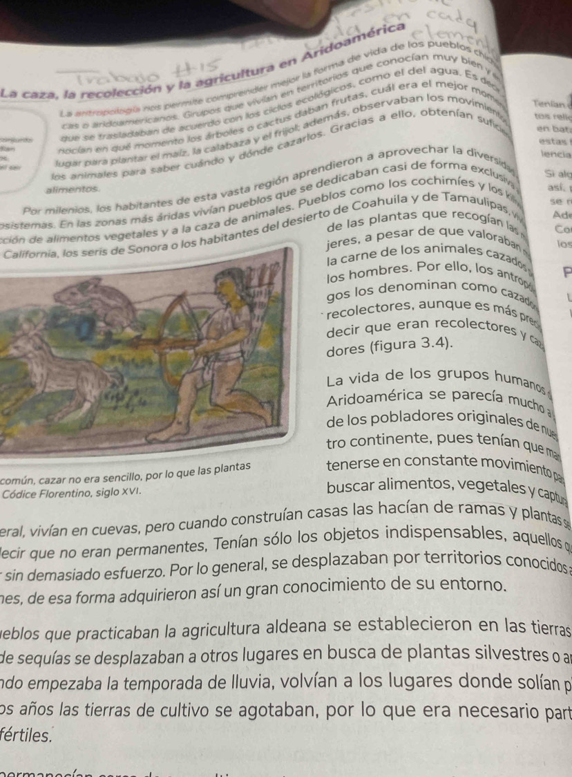 La caza, la recolección y la agricultura en Aridoamérica
La entropollogíóa nos permite comprender mejor la forma de vida de los pueblos chic
cas o aridoamericanos. Girúpos que vivian en territorios que conocían muy bién y e
que se trastadaban de acuerdo con los ciclos ecológicos, como el del agua. Es deo
T a nocian en qué momento los árboles o cactus daban frutas, cuál era el mejor mome
Tenian 
ludar para plantar el maíz, la calabaza y el frijol; además, observaban los movimiento tos relk
estas
los animales para saber cuándo y dónde cazarlos. Gracias a ello, obtenían sufce en bat.
lencia
Por milenios, los habitantes de esta vasta región aprendieron a aprovechar la diversida
Si alo
alimentos.
esistemas. En las zonas más áridas vivían pueblos que se dedicaban casi de forma exclusiva así. 
Ad
ción de alimentos vegetales y a la caza de animales. Pueblos como los cochimíes y los kil, se r
de las lantas que reco ían  la Co
California, los serís de Sonora o los habitantes del desierto de Coahuila y de Tamaulipas, v
eres, a pesar de que valoraban ios
carne de los animales cazados
P
os hombres. Por ello, los antropó
os los denominan como cazado 1
ecolectores, aunque es más pre
ecir que eran recolectores y 
ores (figura 3.4).
La vida de los grupos humanos 
Aridoamérica se parecía mucho 
e los pobladores originales de nue
ro continente, pues tenían que ma
común, cazar no era sencillo, por lo que las plantas
tenerse en constante movimiento par
Códice Florentino, siglo XVI.
buscar alimentos, vegetales y captur
eral, vivían en cuevas, pero cuando construían casas las hacían de ramas y plantas se
decir que no eran permanentes, Tenían sólo los objetos indispensables, aquellos qe
r sin demasiado esfuerzo. Por lo general, se desplazaban por territorios conocídos a
mes, de esa forma adquirieron así un gran conocimiento de su entorno.
ueblos que practicaban la agricultura aldeana se establecieron en las tierras
de sequías se desplazaban a otros lugares en busca de plantas silvestres o a
ando empezaba la temporada de lluvia, volvían a los lugares donde solían po
los años las tierras de cultivo se agotaban, por lo que era necesario part
fértiles.