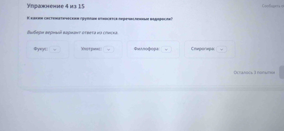 Улражнение 4 из 15 Cообщить о 
Ккаким систематическим груплам относятся перечисленные водоросли? 
Выбери верный вариант ответа из списка. 
ΦукуC: Улοτрикс: Φиллофора: Спирогира: 
Осталось З полытки