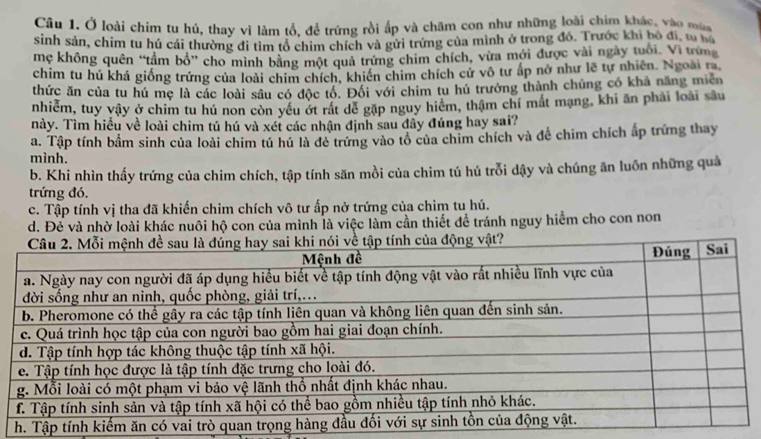 Ở loài chim tu hú, thay vì làm tổ, để trứng rồi ấp và chăm con như những loài chim khác, vào mùa
sinh sản, chim tu hú cái thường đi tìm tổ chim chích và gửi trứng của mình ở trong đồ. Trước khi bộ đi, tu hô
mẹ không quên “tầm bổ” cho mình bằng một quả trứng chim chích, vừa mới được vài ngày tuổi. Vì trứng
chim tu hú khá giống trứng của loài chim chích, khiến chim chích cử vô tư ấp nở như lẽ tự nhiên. Ngoài ra,
thức ăn của tu hú mẹ là các loài sâu có độc tố. Đối với chim tu hú trưởng thành chúng có khả năng miền
nhiễm, tuy vậy ở chim tu hú non còn yếu ớt rất dễ gặp nguy hiểm, thậm chí mất mạng, khi ăn phải loài sâu
này. Tìm hiểu về loài chim tú hú và xét các nhận định sau đây đúng hay sai?
a. Tập tính bầm sinh của loài chim tú hú là đẻ trứng vào tổ của chim chích và đề chim chích ấp trứng thay
mình.
b. Khi nhìn thấy trứng của chim chích, tập tính săn mồi của chim tú hú trỗi dậy và chúng ăn luồn những quả
trứng đó.
c. Tập tính vị tha đã khiến chim chích vô tư ấp nở trứng của chim tu hú.
d. Đẻ và nhờ loài khác nuôi hộ con của mình là việc làm cần thiết để tránh nguy hiểm cho con non
h. Tập