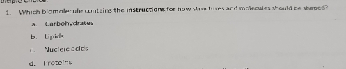 Which biomolecule contains the instructions for how structures and molecules should be shaped?
a. Carbohydrates
b. Lipids
c. Nucleic acids
d. Proteins