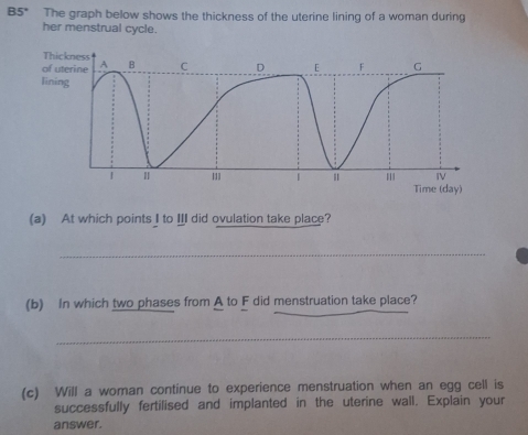 B5° The graph below shows the thickness of the uterine lining of a woman during 
her menstrual cycle. 
Th 
of 
lin 
(a) At which points I to II did ovulation take place? 
_ 
_ 
(b) In which two phases from A to F did menstruation take place? 
_ 
(c) Will a woman continue to experience menstruation when an egg cell is 
successfully fertilised and implanted in the uterine wall. Explain your 
answer.