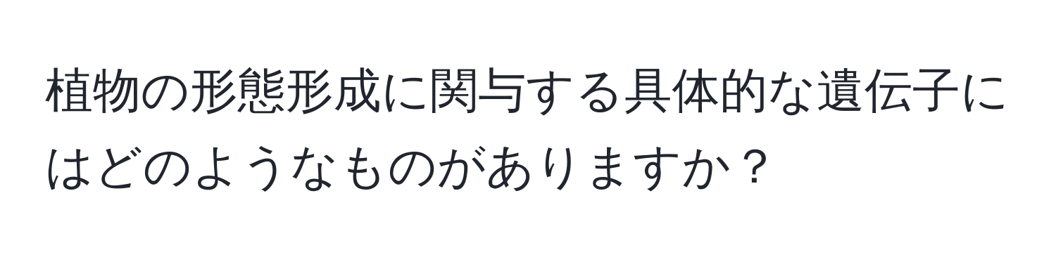 植物の形態形成に関与する具体的な遺伝子にはどのようなものがありますか？