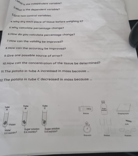 What is the independent variable? 
?What is the dependent variable? 
3.Give two control variables. 
4.Why dry each piece of tissue before weighing it? 
5.Why calculate percentage change? 
6.How do you calculate percentage change? 
7.How can the validity be improved? 
8.How can the accuracy be improved? 
9 Give one possible source of error? 
10.How can the concentration of the tissue be determined? 
11.The potato in tube A increased in mass because ... 
2.The potato in tube C decreased in mass because ... 
Tube Tube Tube 
0 
A 
B C l làg 
Belance Chopping boaet 
Potato Krifie 
'Water Sugar solution Sugar solution
0.0mol/dm^3 0.4mol/dm^3 0.8mol/dm^3
Shopwarich Deuters Phstatiors