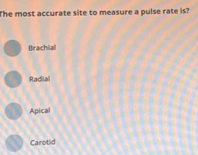 Solved: The most accurate site to measure a pulse rate is? Brachial ...