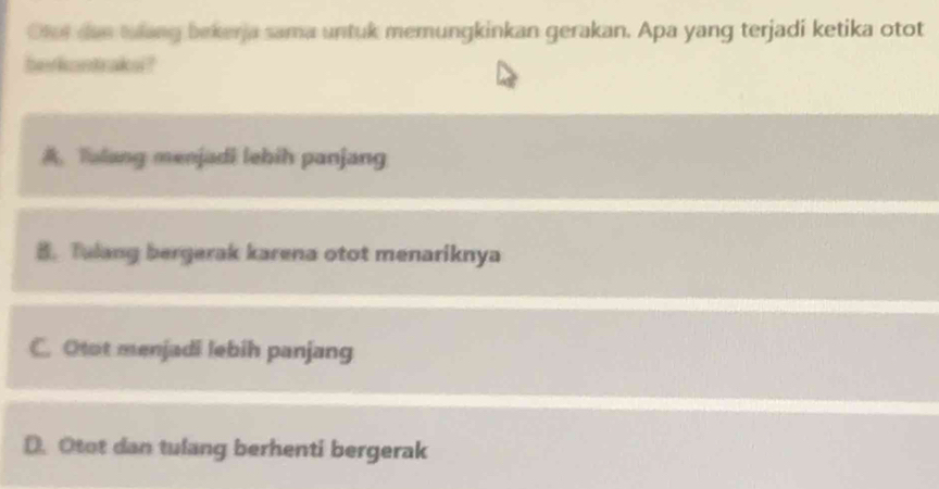 Ofot dan taang bekerja sama untuk memungkinkan gerakan. Apa yang terjadi ketika otot
be kontraks ?. Talang menjadi lehih panjang. Tulang bergerak karena otot menariknya
C. Otot menjadi lebih panjang
D. Otot dan tulang berhenti bergerak