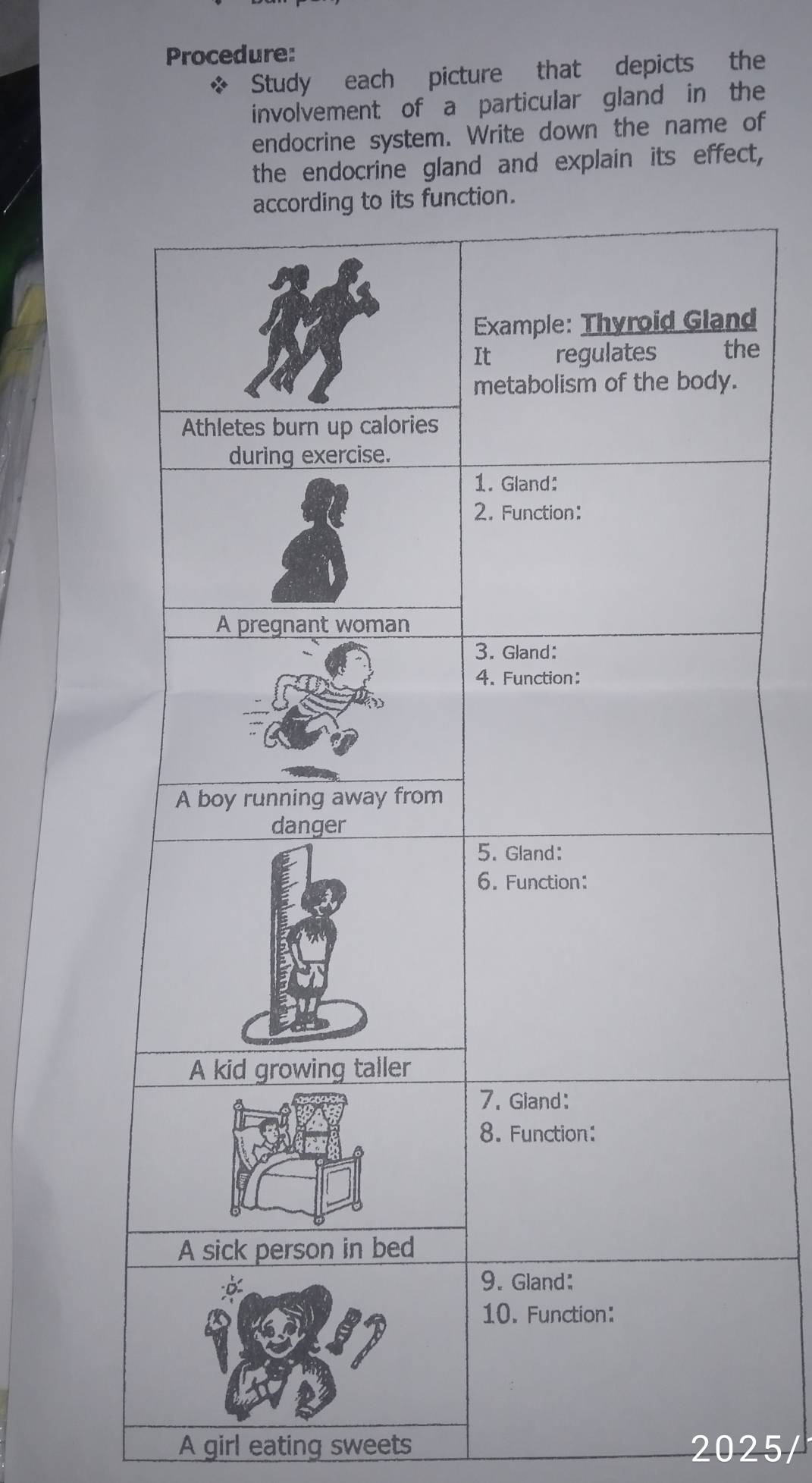 Procedure: 
Study each picture that depicts the 
involvement of a particular gland in the 
endocrine system. Write down the name of 
the endocrine gland and explain its effect, 
d 
e 
A girl eating sweets 2025/