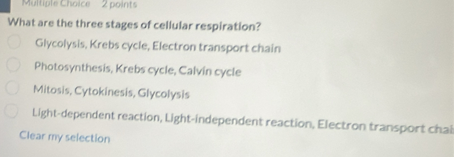 What are the three stages of cellular respiration?
Glycolysis, Krebs cycle, Electron transport chain
Photosynthesis, Krebs cycle, Calvin cycle
Mitosis, Cytokinesis, Glycolysis
Light-dependent reaction, Light-independent reaction, Electron transport chai
Clear my selection