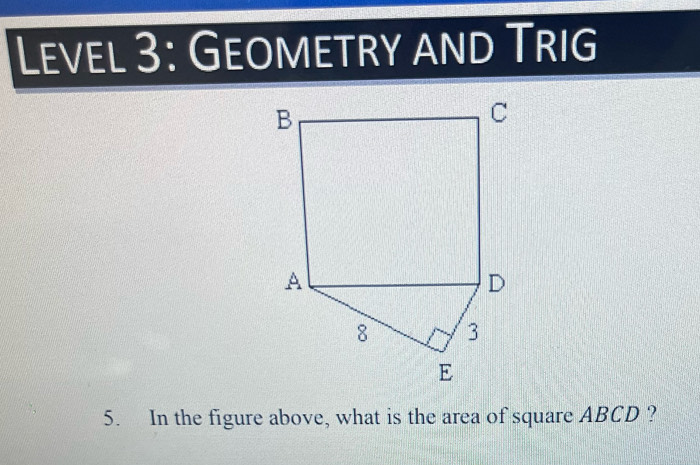 Level 3: Geometry and Trig 
5. In the figure above, what is the area of square ABCD ?