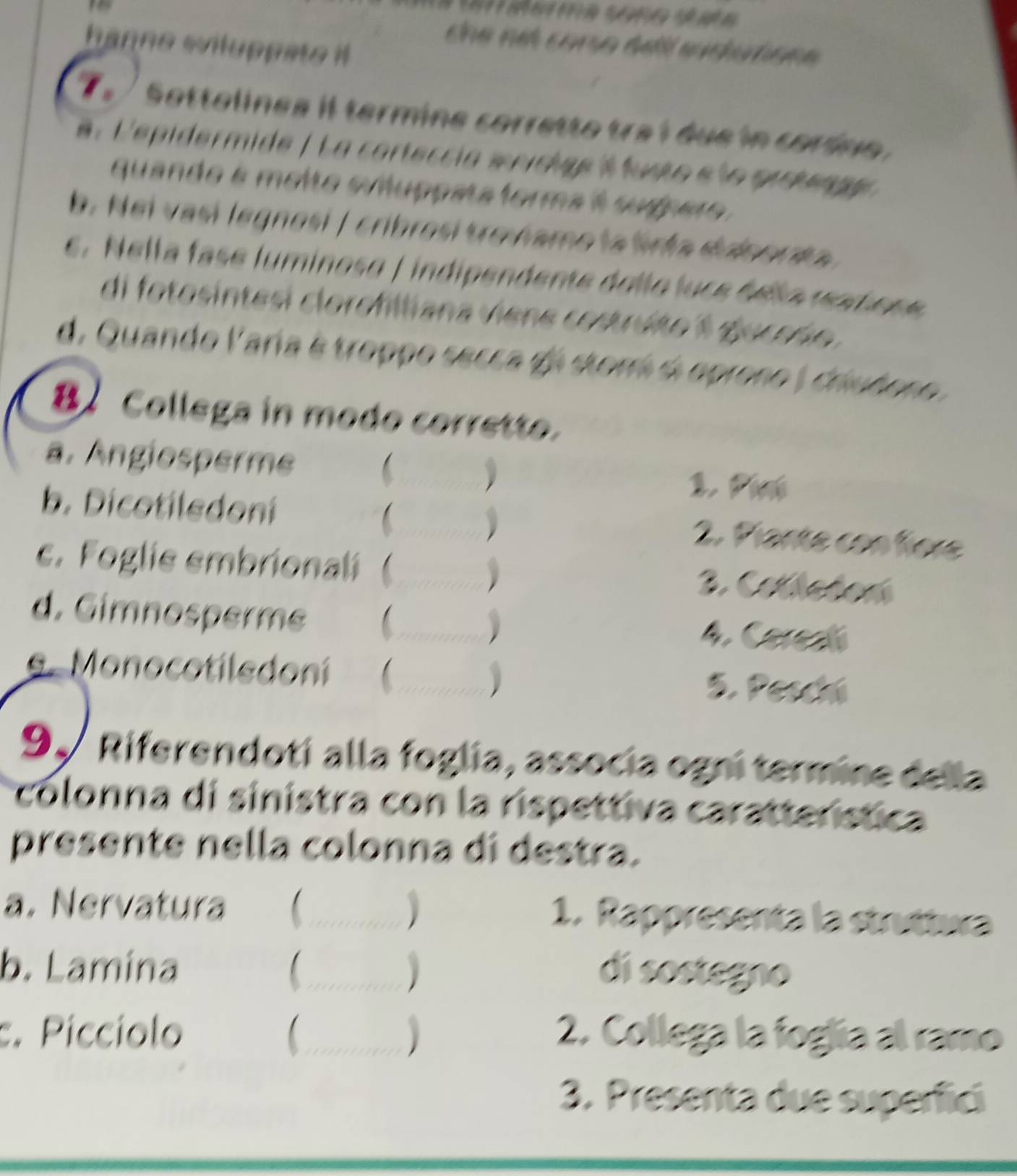 hanno wviluppato i 
che nét coma téil sucatione 
e Sottolines il termine corretto traí due in coríno. 
a. L'epidermide / La corteccia enicige A usto e lo prstengy 
quando é melto suluppata forma t suíper 
b. Nei vasí legnosí | cribrosí treviamo la firta ddporta 
e. Nella fase luminoso | indipendente dollo luce éela matose 
di fotosintesi clorofilliana viene costruto A guceño. 
d. Quando Varía é troppo secca de stomá é oprono ) criubono . 
8 Collega in modo corretto. 
a. Angiosperme 
 .' 
b. Dicotiledoní 2. Plante con fore 
c. Foglie embrionali  _3. Colledon 
d. Gimnosperme _4. Carea 
e. Monocotiledoní  5. Peschi 
9、 Riferendoti alla foglia, associa ogni termine della 
colonna di sinistra con la rispettiva caratterística 
presente nella colonna di destra. 
a. Nervatura _1. Rappresenta la struttura 
b. Lamina _di sostegno 
c. Píccíolo _2. Collega la foglía al ramo 
3. Presenta due superfici