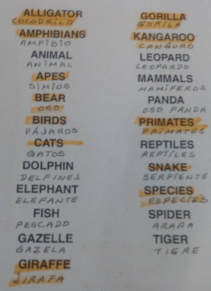 ALLIGATOR GORILLA 
C o c o d r i Gorila 
AMPHIBIANS KANGAROO 
anGuro 
ANIMAL LEOPARD 
LE OPA R DD 
APES MAMMALS 
sì mǐos 
Mamǐfe 
BEAR PANDA 
OsD OsD PâNDa 
BIRDS PRIMATES 
i m a t 
CATS REPTILES 
GATOS REPTILES 
DOLPHIN SNAKE 
DELFINES SERPIENTE 
ELEPHANT SPECIES 
ELE FANTE 
FISH SPIDER 
PESCA 
GAZELLE TIGER 
GAZELA 
GIRAFFE 
IRAFA